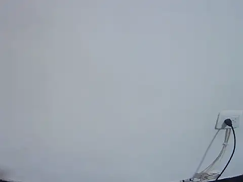 Fernanda andrew online show from February 24, 2026, 4:49 pm