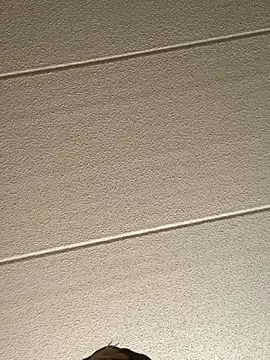 Snapshot of Big_German_cock974 chatting on February 16, 2026, 9:00 pm Big German cock974 online show from February 16, 2026, 9:00 pm