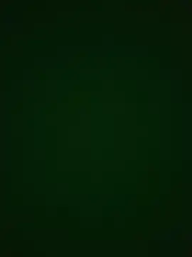 Snapshot of zoodangermind chatting on July 19, 2026, 12:25 am zoodangermind online show from July 19, 2026, 12:25 am