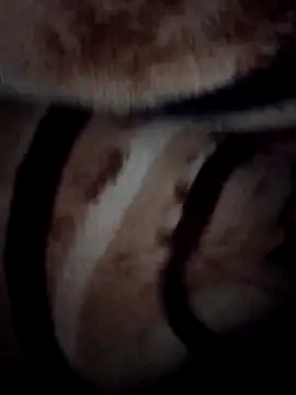 pihuu1313 online show from February 9, 2026, 3:21 am