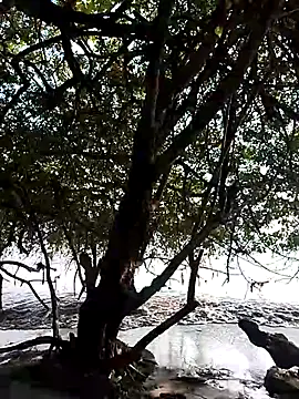 Andreskelly online show from February 13, 2026, 9:22 pm