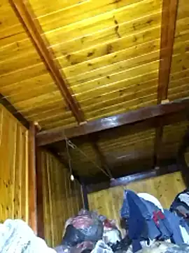 Snapshot of neko-nancy chatting on March 12, 2026, 1:01 am neko-nancy online show from March 12, 2026, 1:01 am