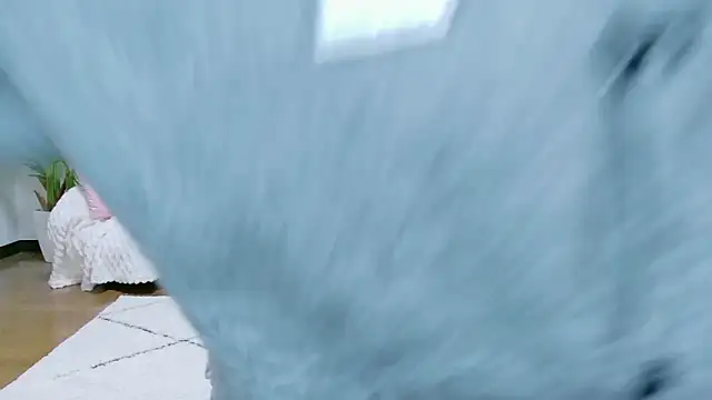 ayu-jpnk online show from February 28, 2026, 4:08 pm