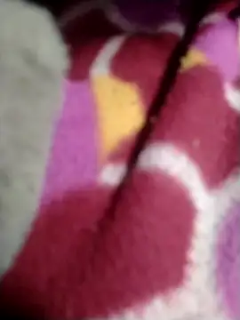 Snapshot of Lovely_priya1001 chatting on January 16, 2026, 4:33 pm Lovely priya1001 online show from January 16, 2026, 4:33 pm