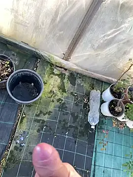 marcoboss online show from January 14, 2026, 1:50 pm