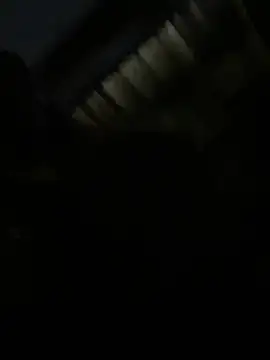 Nika-be online show from February 12, 2026, 5:46 am