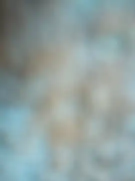 layanehot online show from December 22, 2025, 9:06 am