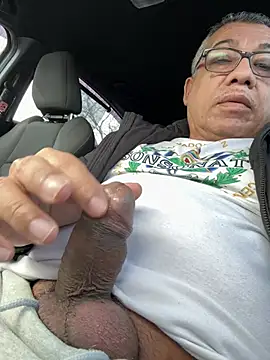 Snapshot of tigre6911 chatting on February 26, 2026, 5:12 pm tigre6911 online show from February 26, 2026, 5:12 pm