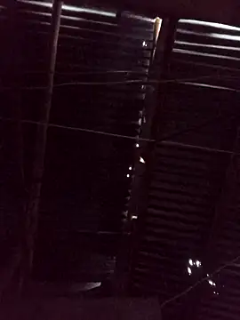 Ardo1899 online show from February 17, 2026, 11:40 am