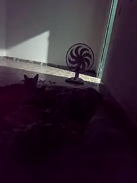 Snapshot of WPS15 chatting on April 15, 2026, 11:27 pm WPS15 online show from April 15, 2026, 11:27 pm