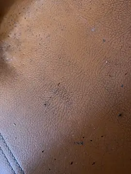 solecito sex  online show from June 2, 2026, 4:42 pm