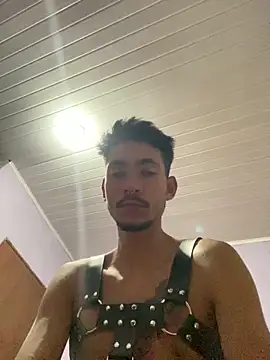 Snapshot of GuioficialBr chatting on February 5, 2026, 4:50 am GuioficialBr online show from February 5, 2026, 4:50 am