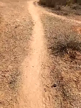 Snapshot of Tamilpaiyan07 chatting on February 8, 2026, 5:55 am Tamilpaiyan07 online show from February 8, 2026, 5:55 am