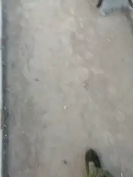 Tata and Joker online show from March 24, 2026, 3:28 pm