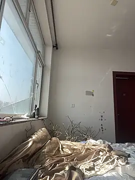 Qidandan778 online show from March 25, 2026, 4:29 am