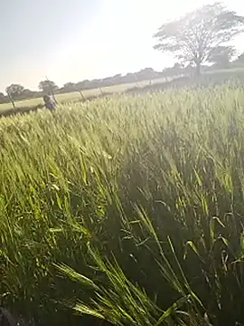 Snapshot of hornycouple20000 chatting on January 14, 2026, 11:05 am hornycouple20000 online show from January 14, 2026, 11:05 am