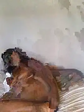 Snapshot of babepear chatting on February 25, 2026, 6:34 am babepear online show from February 25, 2026, 6:34 am