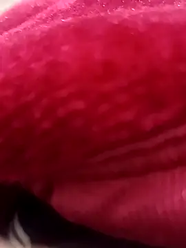 daksh  8 inche online show from February 7, 2026, 8:34 pm