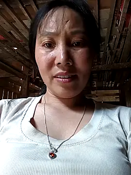 vesla-2k online show from April 8, 2026, 9:53 am