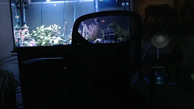 EspanolVato online show from March 26, 2026, 12:06 am