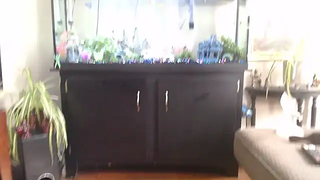 EspanolVato online show from April 15, 2026, 7:58 pm