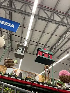 dani bela online show from March 22, 2026, 10:46 pm