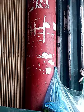 Snapshot of LINSA20 chatting on February 4, 2026, 2:39 am LINSA20 online show from February 4, 2026, 2:39 am