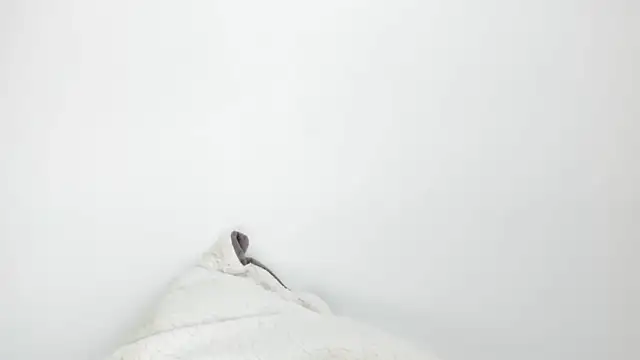 Sarah sumemers online show from March 4, 2026, 8:15 pm