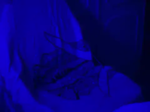 Snapshot of WarmSound chatting on January 17, 2026, 8:52 am WarmSound online show from January 17, 2026, 8:52 am