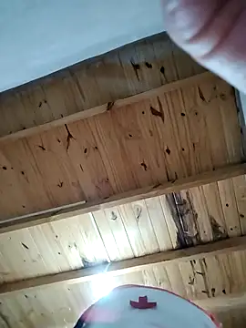 denise2028 online show from January 15, 2026, 9:29 pm