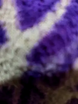 Gaonkadesiland online show from January 15, 2026, 6:22 pm