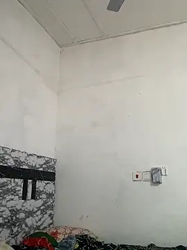 Zarayanga online show from January 17, 2026, 11:04 am