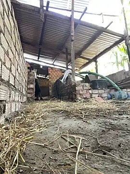 Ginny 2x online show from February 20, 2026, 3:36 am