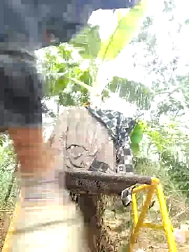 leona118 online show from April 9, 2026, 1:49 am