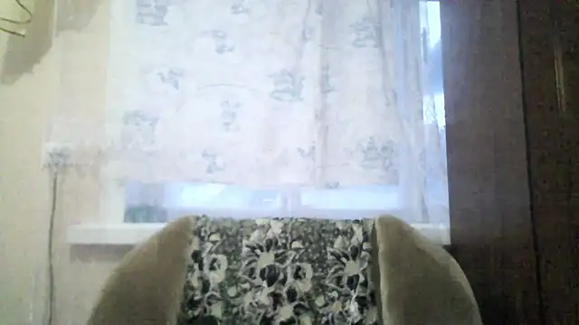 Norma Wall online show from April 3, 2026, 3:15 am