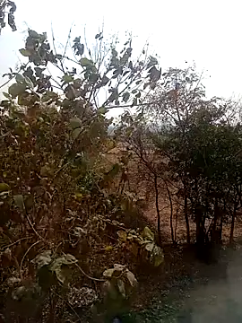 Snapshot of DesiPlayboy09 chatting on February 22, 2026, 8:24 am DesiPlayboy09 online show from February 22, 2026, 8:24 am