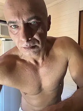 dogfrota online show from February 4, 2026, 3:07 pm