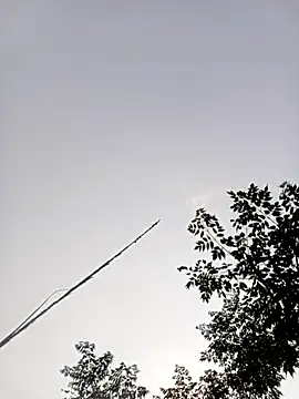 Snapshot of LISAA-6969 chatting on April 15, 2026, 8:10 am LISAA-6969 online show from April 15, 2026, 8:10 am