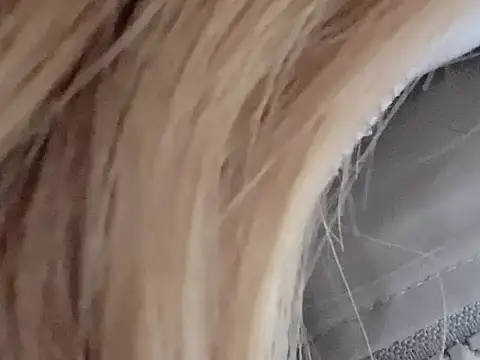 dingding-520 online show from March 4, 2026, 1:06 pm