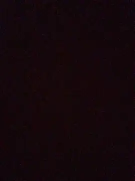 InstantPigweed online show from April 21, 2026, 2:23 pm