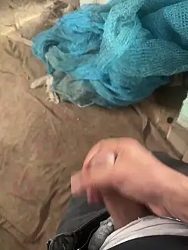 Snapshot of dragon_ndragos chatting on February 3, 2026, 11:37 am dragon ndragos online show from February 3, 2026, 11:37 am