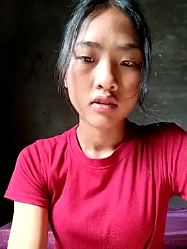 Hoa-tuylip online show from April 13, 2026, 7:58 am