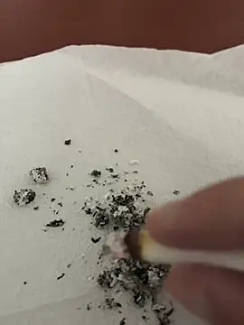 dickdondra online show from February 2, 2026, 11:42 am