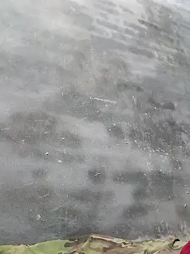 Snapshot of Sgs594802799 chatting on April 2, 2026, 1:20 pm Sgs594802799 online show from April 2, 2026, 1:20 pm