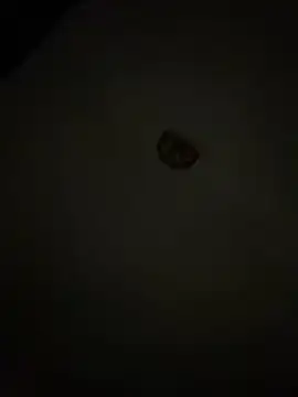 Snapshot of Diamanda12 chatting on March 1, 2026, 4:36 am Diamanda12 online show from March 1, 2026, 4:36 am