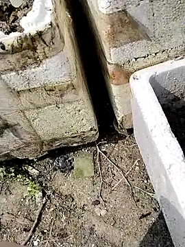 Snapshot of Queen-love45 chatting on March 1, 2026, 3:41 am Queen-love45 online show from March 1, 2026, 3:41 am