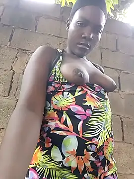 Snapshot of Bald_gee chatting on March 12, 2026, 6:52 am Bald gee online show from March 12, 2026, 6:52 am