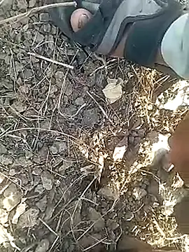 Snapshot of Cute_Boy_4 chatting on February 12, 2026, 11:16 am Cute Boy 4 online show from February 12, 2026, 11:16 am