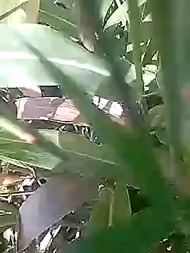 Snapshot of Cute_Boy_4 chatting on March 1, 2026, 5:09 am Cute Boy 4 online show from March 1, 2026, 5:09 am