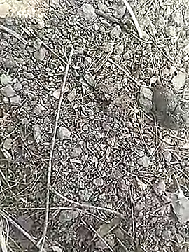 Cute Boy 4 online show from March 18, 2026, 7:00 am